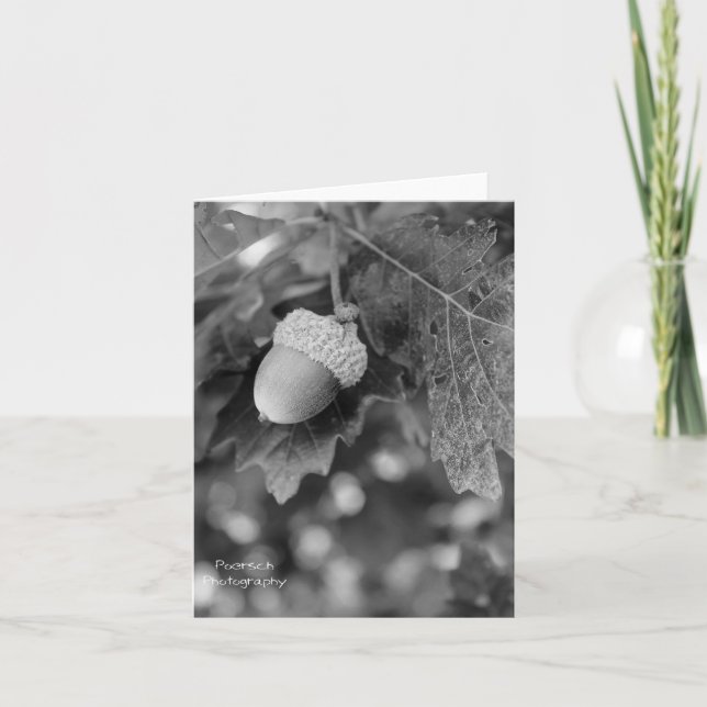 Acorn Note Card (Front)