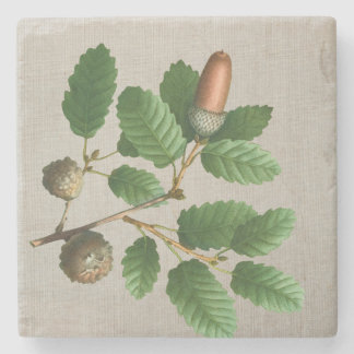 Acorn Oak Leaves Stone Coaster