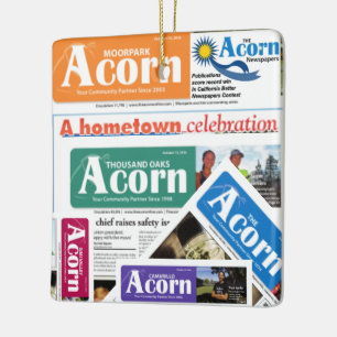 Acorn Ornament Take One