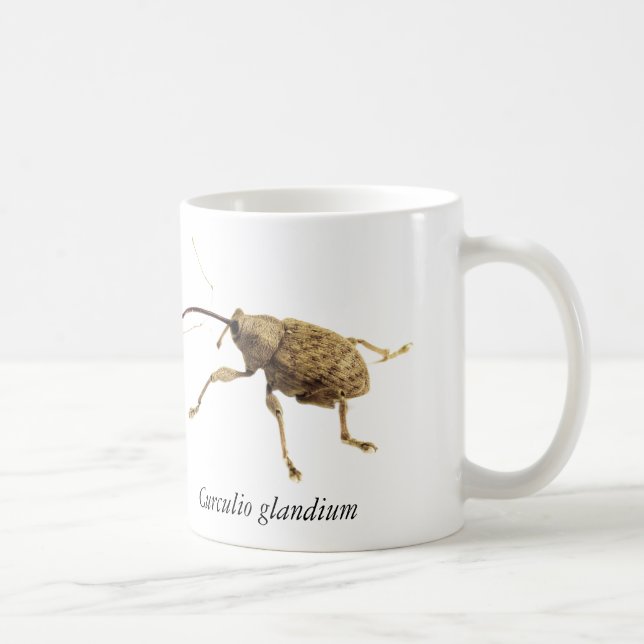 Acorn Weevil Mug (Right)