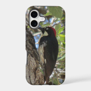 Acorn Woodpecker iPhone Case