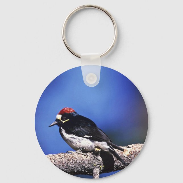 Acorn Woodpecker Key Ring (Front)