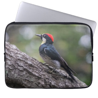 Acorn Woodpecker Laptop Sleeve | Bird Art