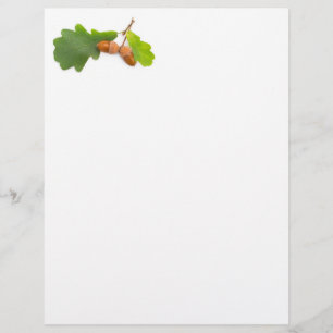 Acorns