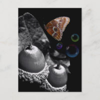 Acorns Butterfly and Bubbles