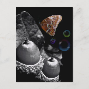 Acorns Butterfly and Bubbles Postcard