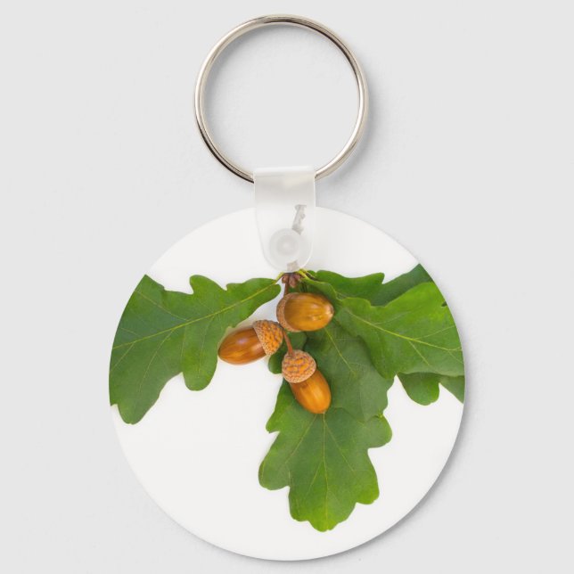 Acorns Key Ring (Front)