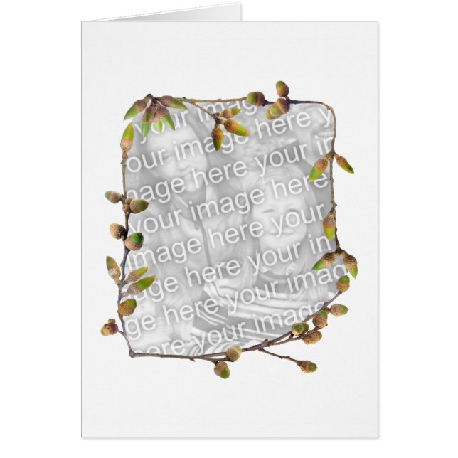 Acorns Photo Card (Front)