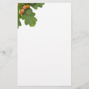 Acorns Stationery