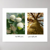 Acorns to Oaks Poster