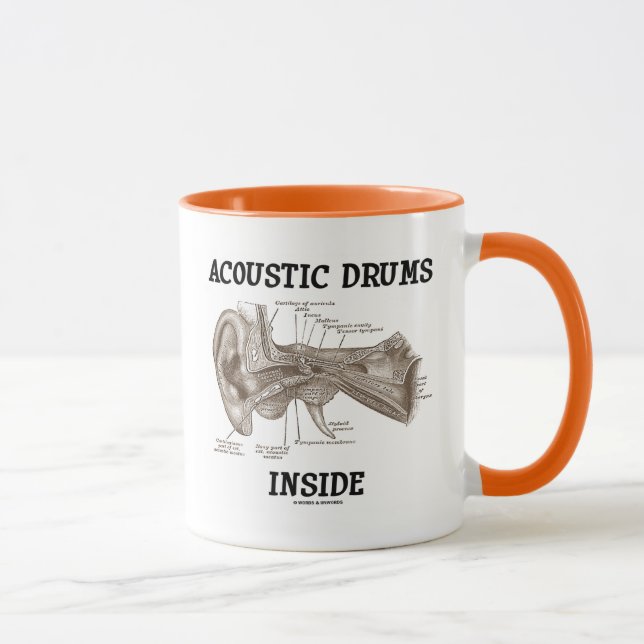 Acoustic Drums Inside (Anatomy Of Human Ear) Mug (Right)