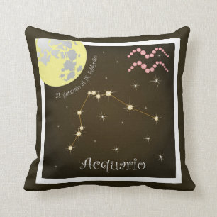 Acquario 21 gennaio al 18 febbraio pillows