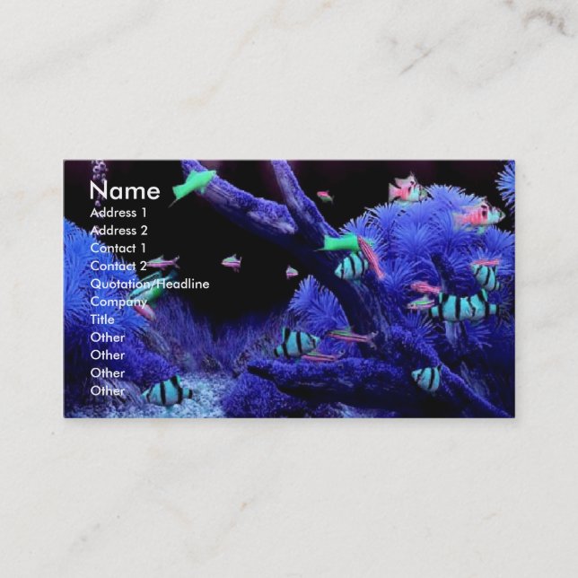 Acquarium Profile Card (Front)
