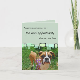 Acquiring A Dog May Be The Only Opportunity Card