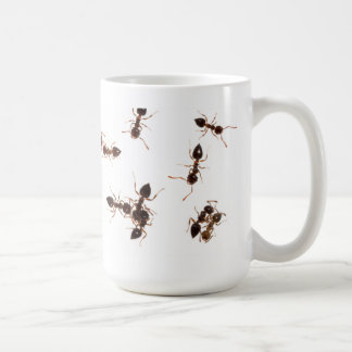 Acrobat Ants Mug