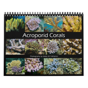 Acroporid Corals Wall Calendar by J.W. Fatherree.
