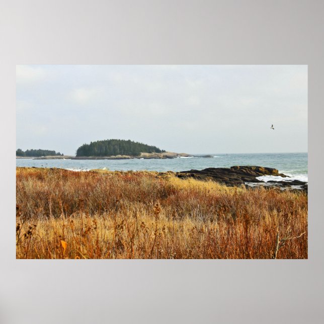 Across the Autumn Fields Poster (Front)