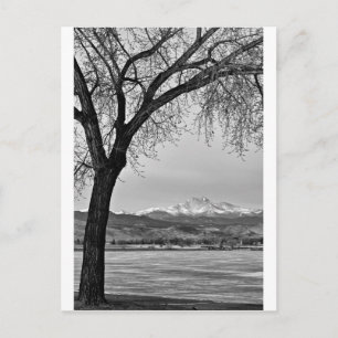 Across The Lake in Black and White Postcard