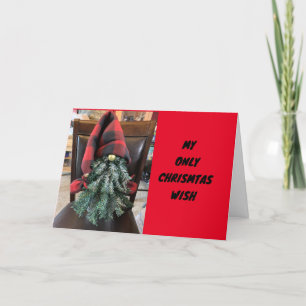 **ACROSS THE MILES** AT CHRISTMAS THIS YEAR HOLIDAY CARD