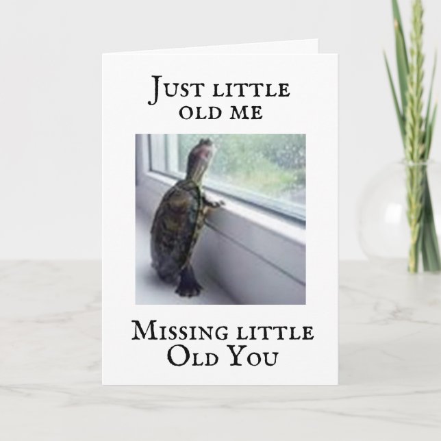 **ACROSS THE MILES** TURTLE SAY HAPPY BIRTHDAY CARD (Front)