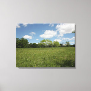 Across the Open Field: Wide Angle View Canvas Print