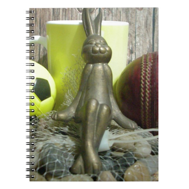 Across the Pitch & Crease: Football Cricket Blend Notebook (Front)