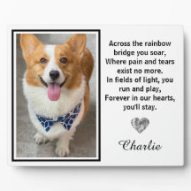 Across The Rainbow Bridge Silver Pet Dog Memorial