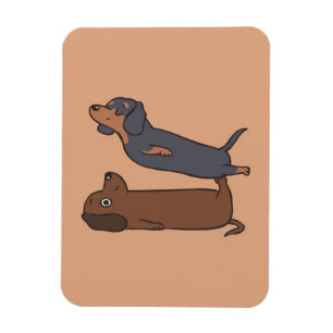 Acroyoga Dachshund Dachshund Lover Gift Magnet