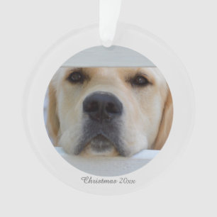 Acrylic Christmas Photo Ornament