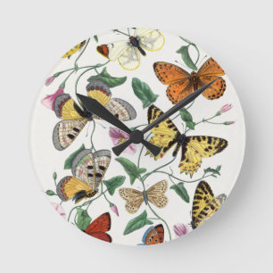 Acrylic Clocks Butterfly Vintage Illustration