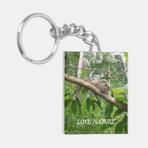 Acrylic Keychain natural animals