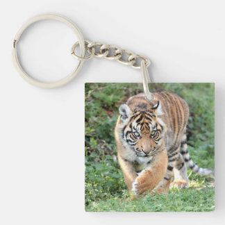 Acrylic Keychain photo tiger cat.