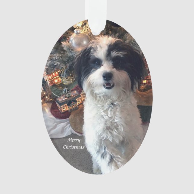 Acrylic Merry Christmas Ornament, Cute Dog Ornament (Front)