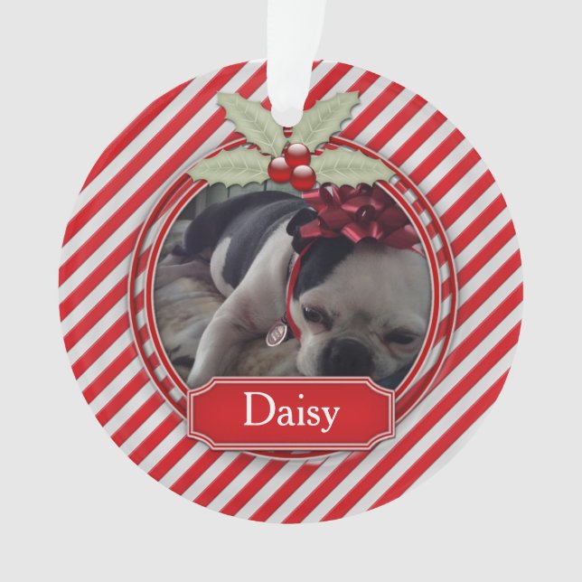 Acrylic Ornament Candy Cane Stripe Holly For Pets (Front)