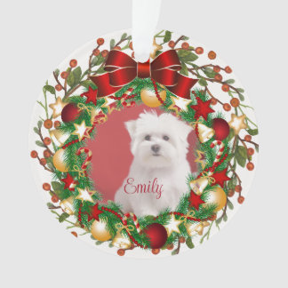 Acrylic Ornament-personalise it with your picture Ornament