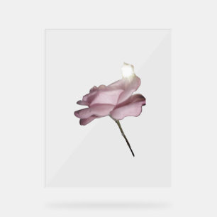 ACRYLIC SIGN ROSE DESIGN STYLE 