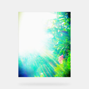 ACRYLIC SIGN ROSE DESIGN STYLE 