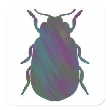 Acrylic-Style Beetle Sticker