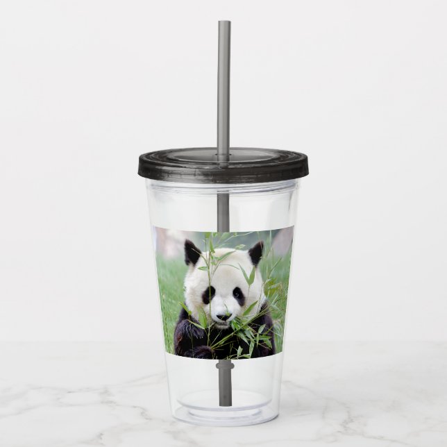 Acrylic tumbler. Photo giant panda , panda geant. Tumbler (Front)