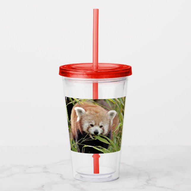 Acrylic tumbler. Photo red panda , panda roux. Acrylic Tumbler (Front)