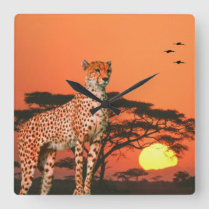 Acrylic Wall Clock