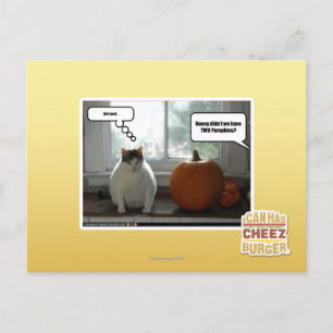 Act cool postcard