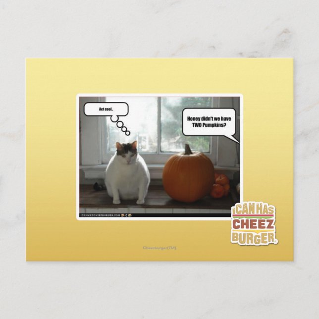 Act cool postcard (Front)