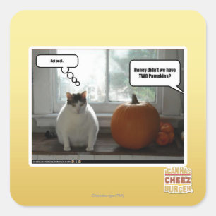 Act cool square sticker