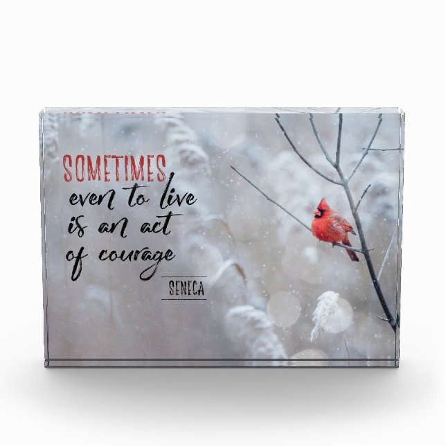 Act of Courage Photo Block (Front)