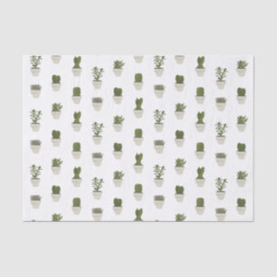 acti & Succulent - white - choose your background Tissue Paper
