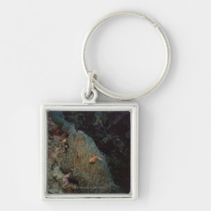 Actinia Key Ring