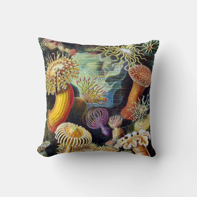 Actiniae by Ernst Haeckel Cushion (Front)