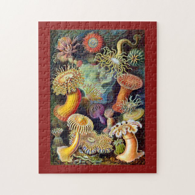 Actiniae by Ernst Haeckel Jigsaw Puzzle (Vertical)