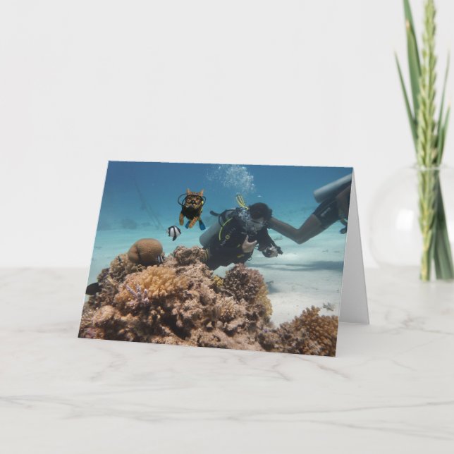 Action Cats! Card (Front)